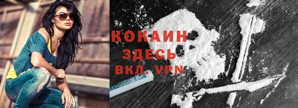 стафф Арсеньев