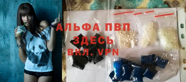 стафф Арсеньев